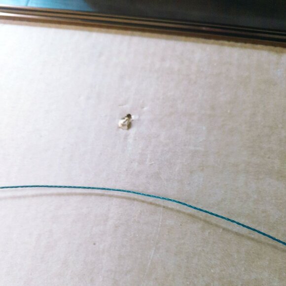 Susan Morrison Coyote Signed & Numbered Print With Gold Metal Frame 1980 - Picture 7 of 8